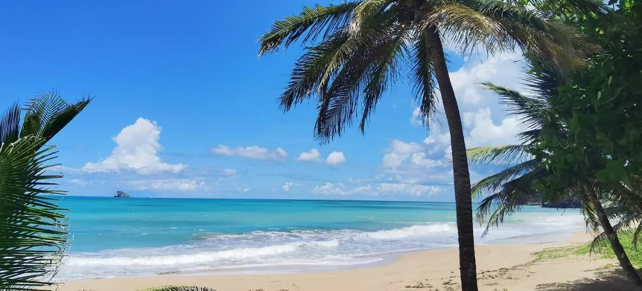 Coco Carib - Cabane Vue Mer Deshaies